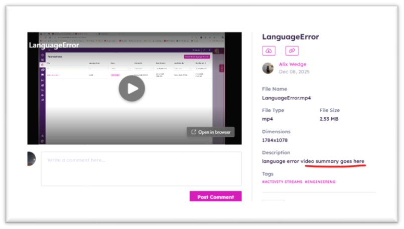 Video Descriptions in Media Widget