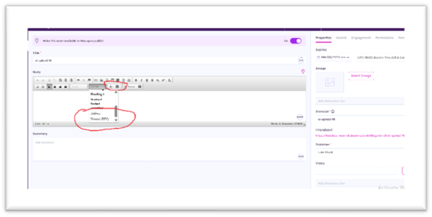 CKEditor additional formatting